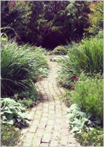reading-path